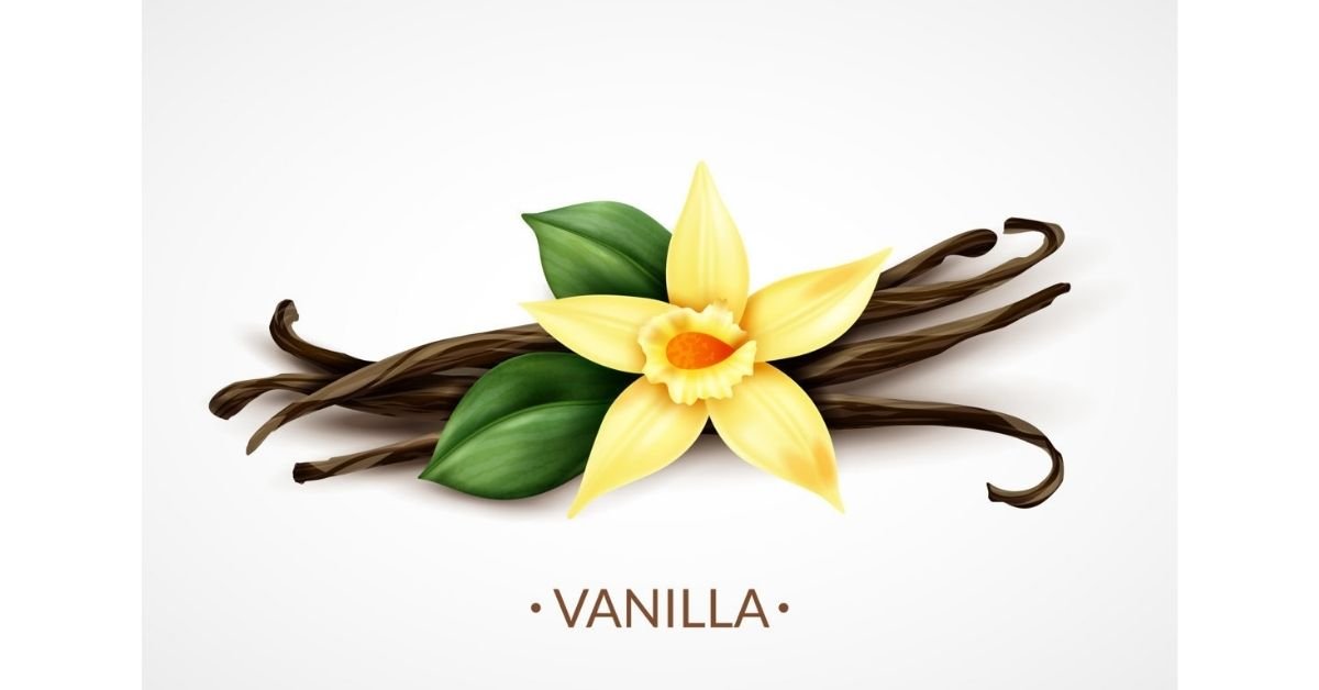 where does vanilla flavoring come from
